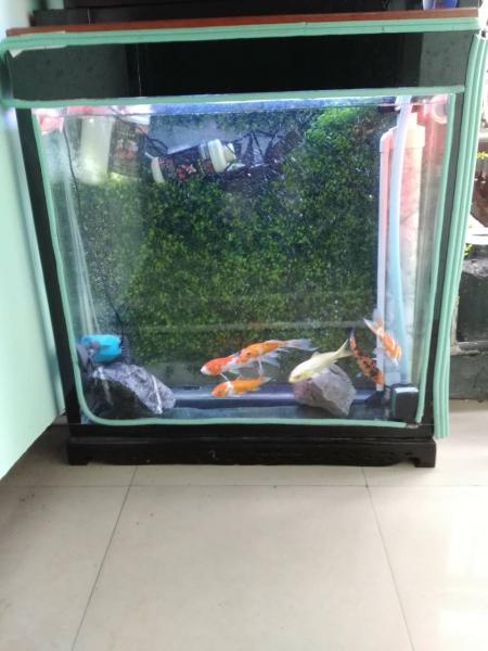 上海如悅教育科技有限公司