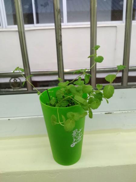 上海如悅教育科技有限公司