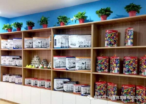 腦感力(廣州)教育發展有限公司