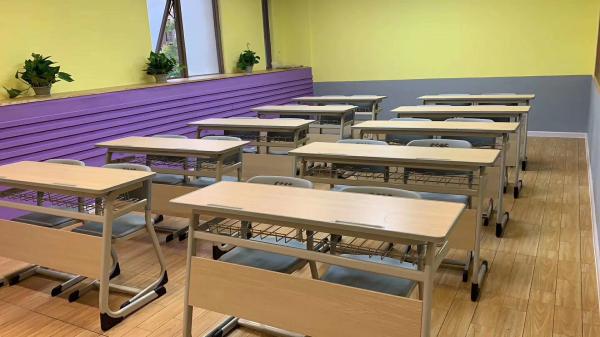 廣東順德迪爾星教育咨詢有限公司