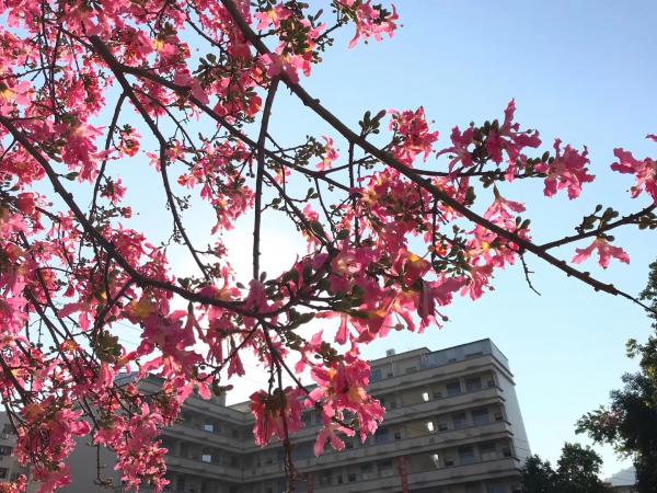 廣州城市職業技工學校