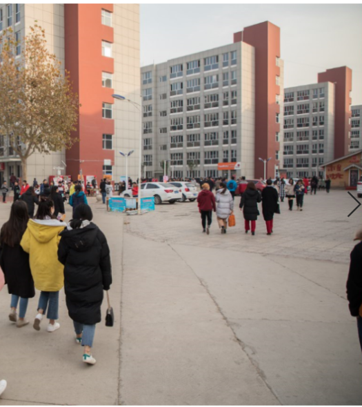 河北贏拓人力資源服務有限公司