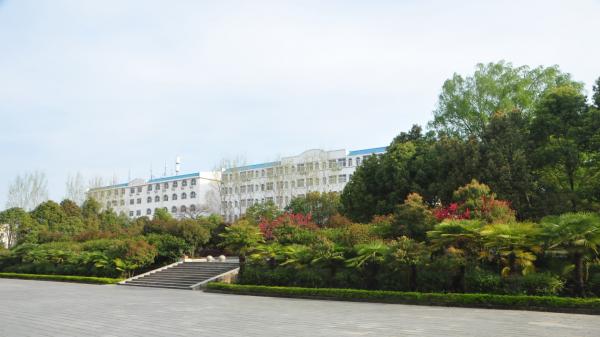 麻城市博達學校