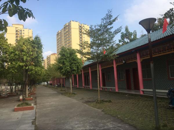 扶綏縣育才學(xué)校