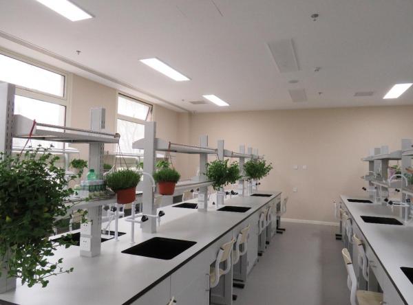 北京洪堡森德國際教育科技有限公司