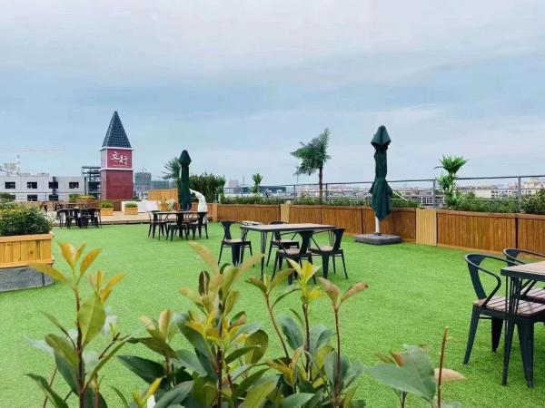 山東立行教育集團有限公司