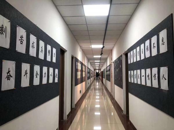 山東立行教育集團有限公司