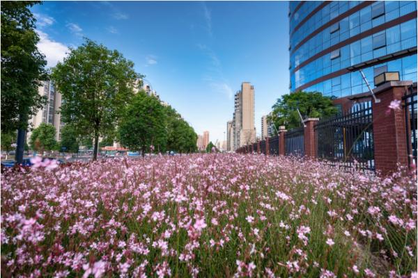 四川省成都市中和職業中學